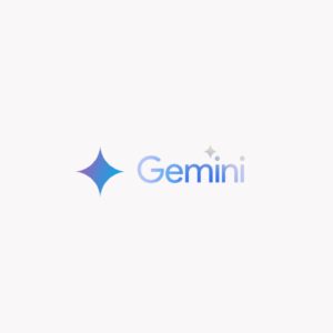 Gemini Pro 1 Year